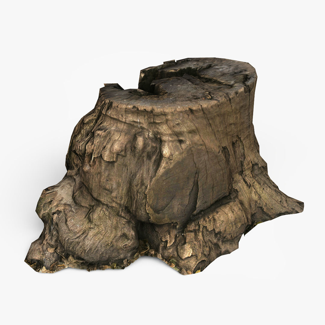 Tree Stump Low-poly 3D model_4
