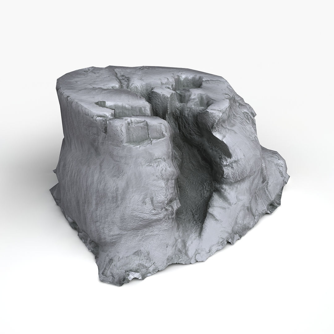 Tree Stump Low-poly 3D model_6