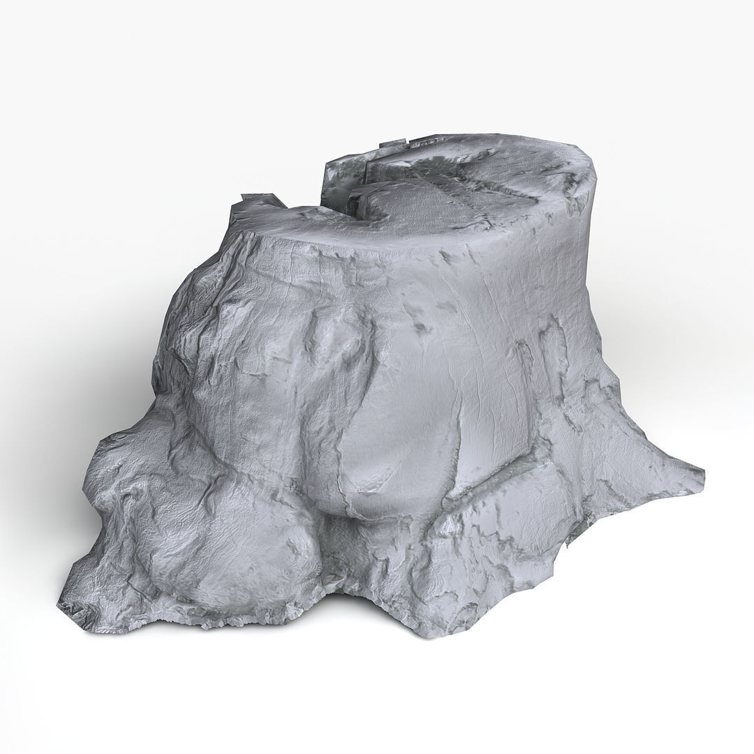 Tree Stump Low-poly 3D model_8
