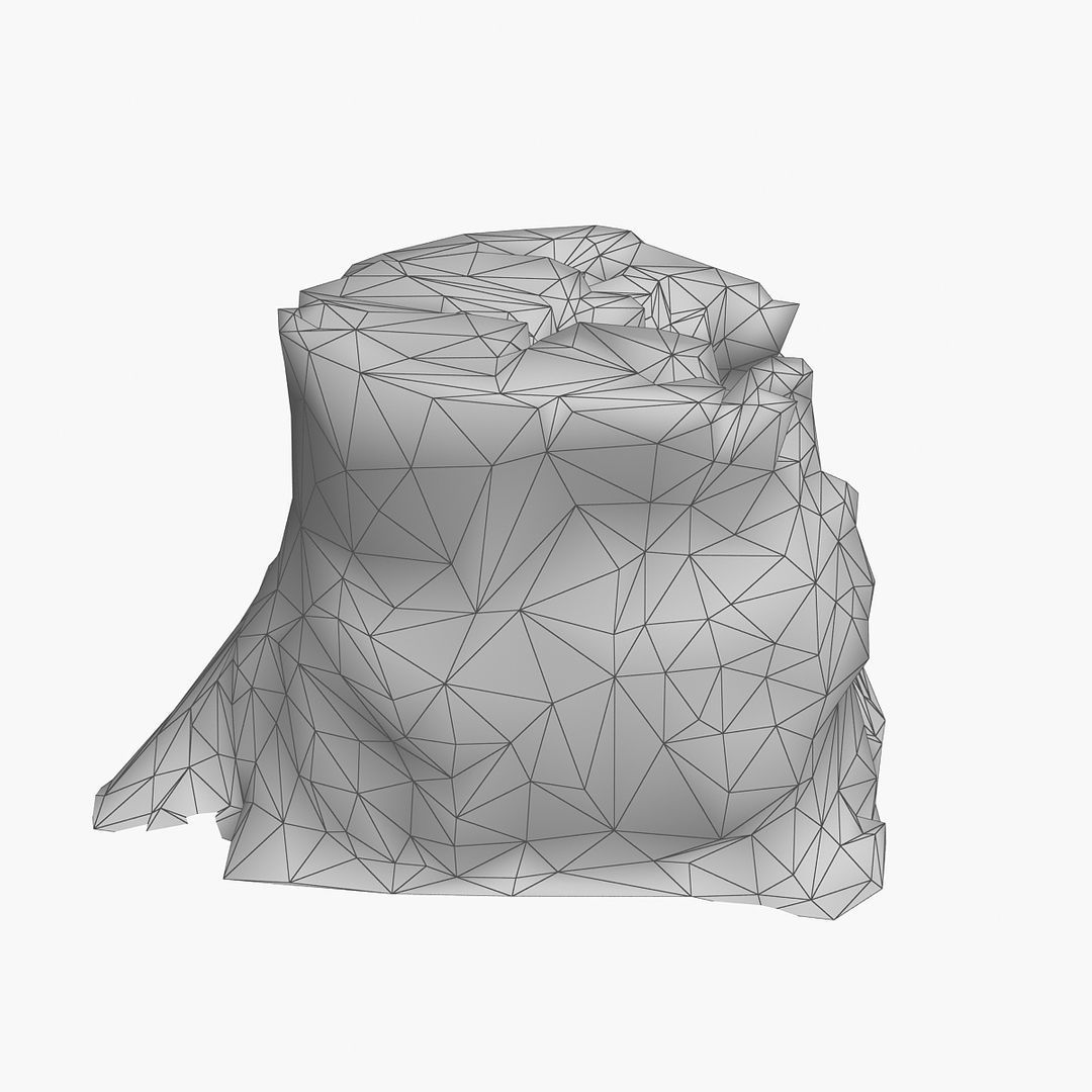 Tree Stump Low-poly 3D model_10