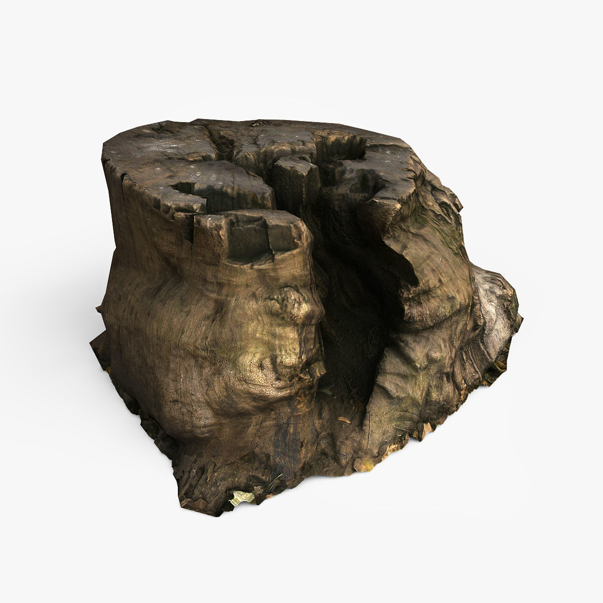 Tree Stump Low-poly 3D model_1