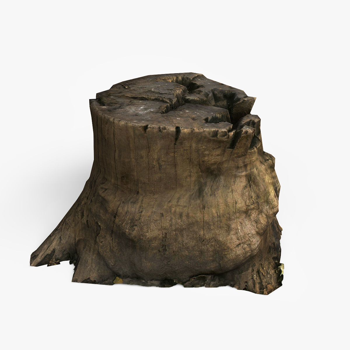 Tree Stump Low-poly 3D model_2