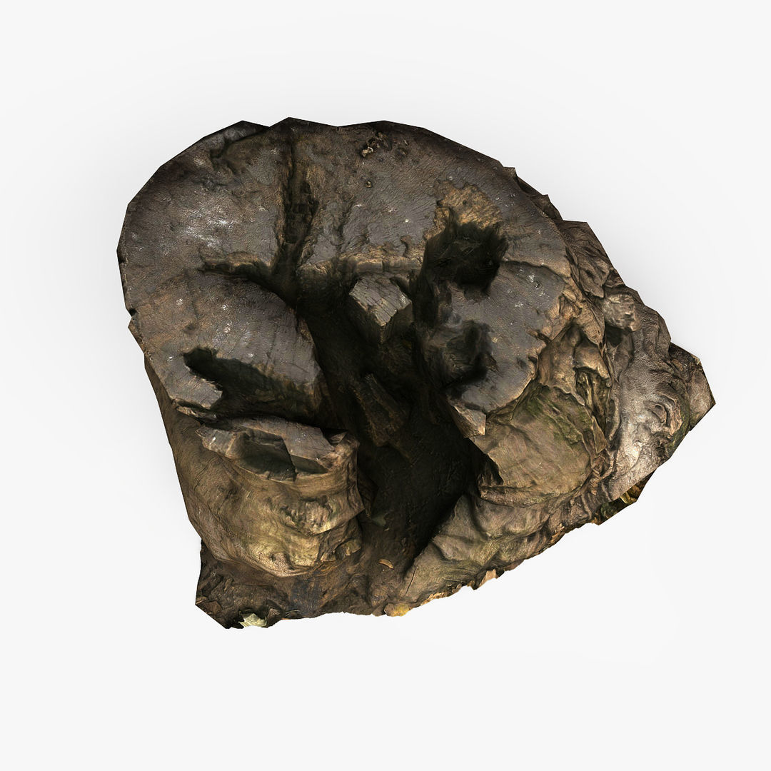 Tree Stump Low-poly 3D model_5