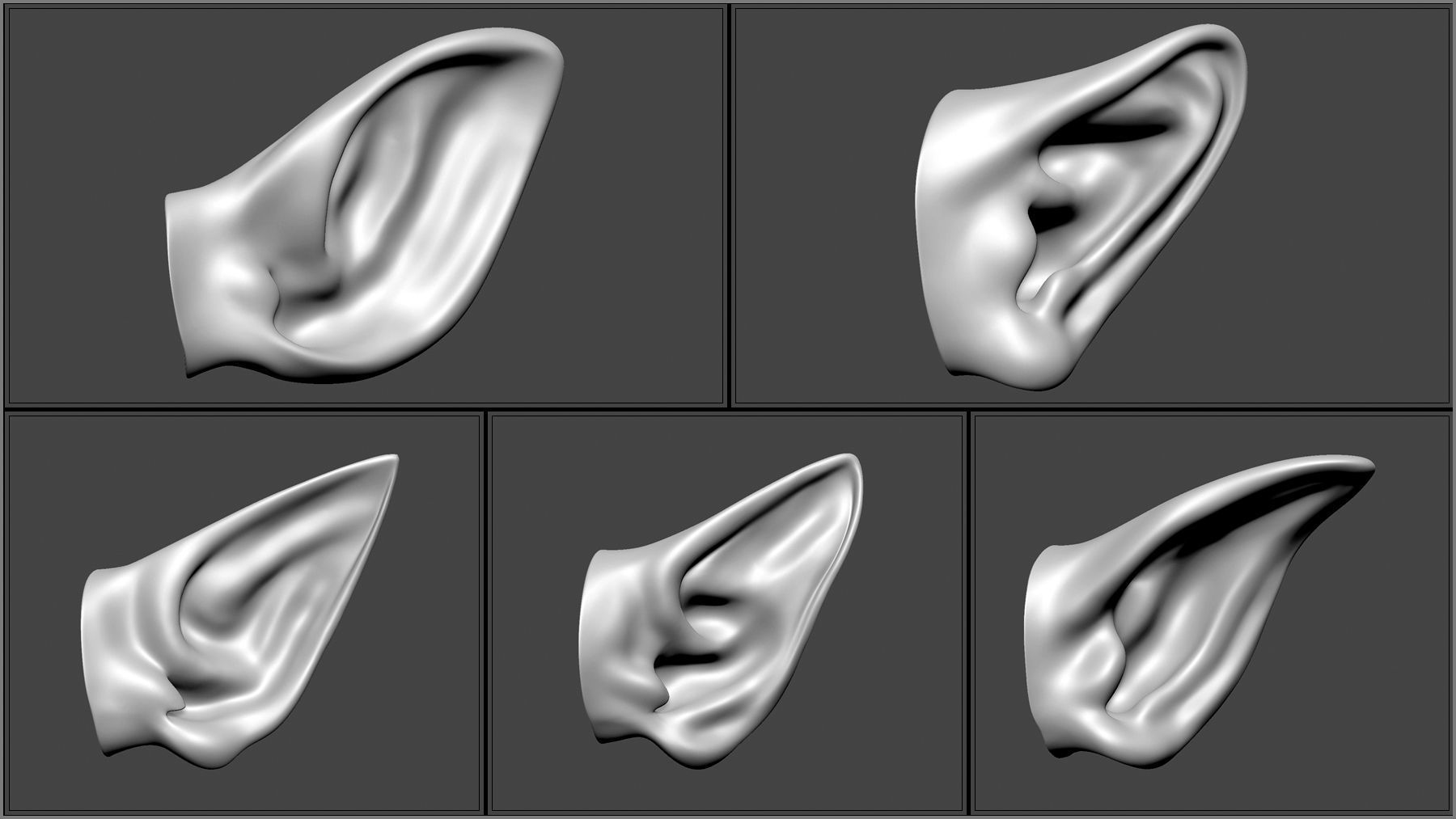 50 Fantasy Ears IMM Brushes and OBJs 3D model_5