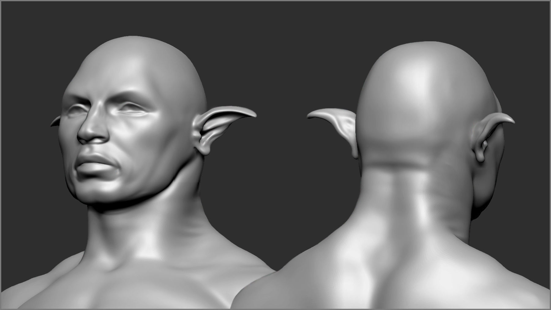 50 Fantasy Ears IMM Brushes and OBJs 3D model_2