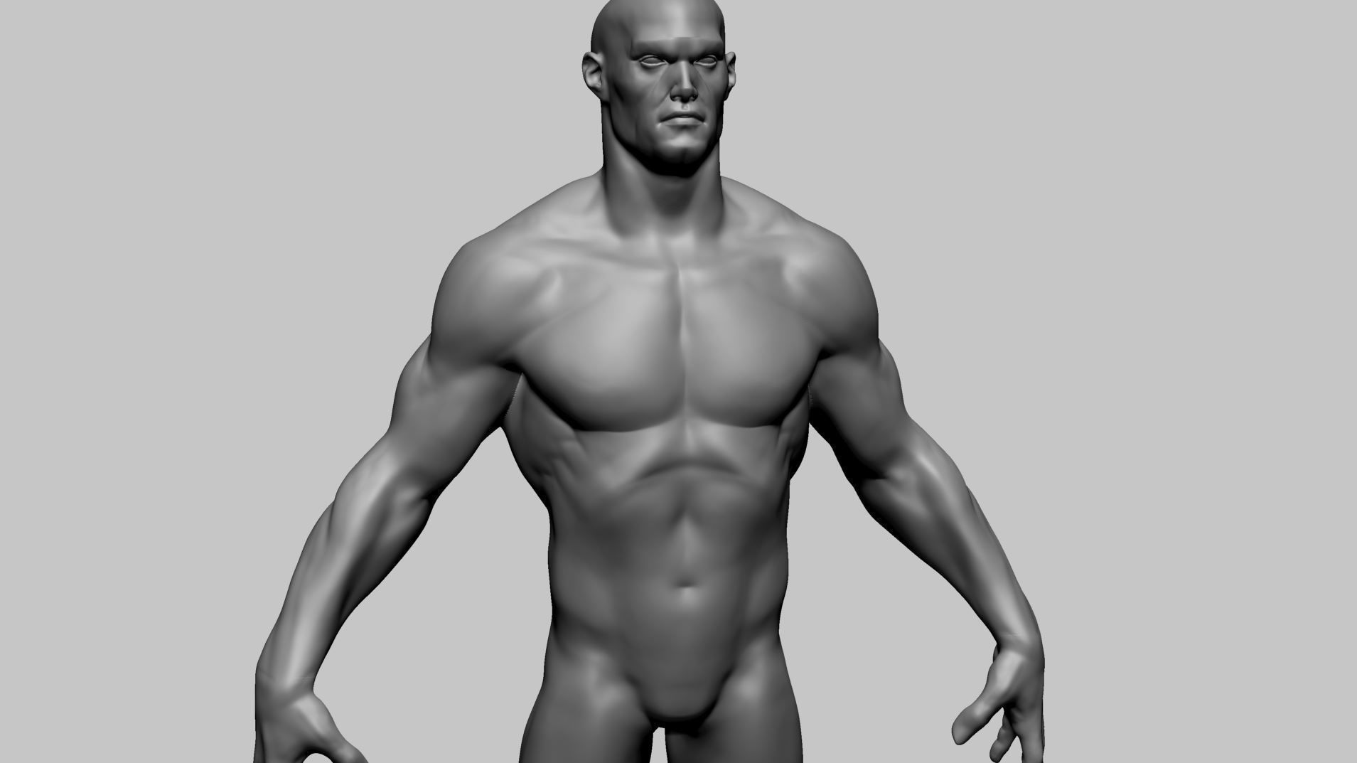 Stylized Male Anatomy A 3D model_10