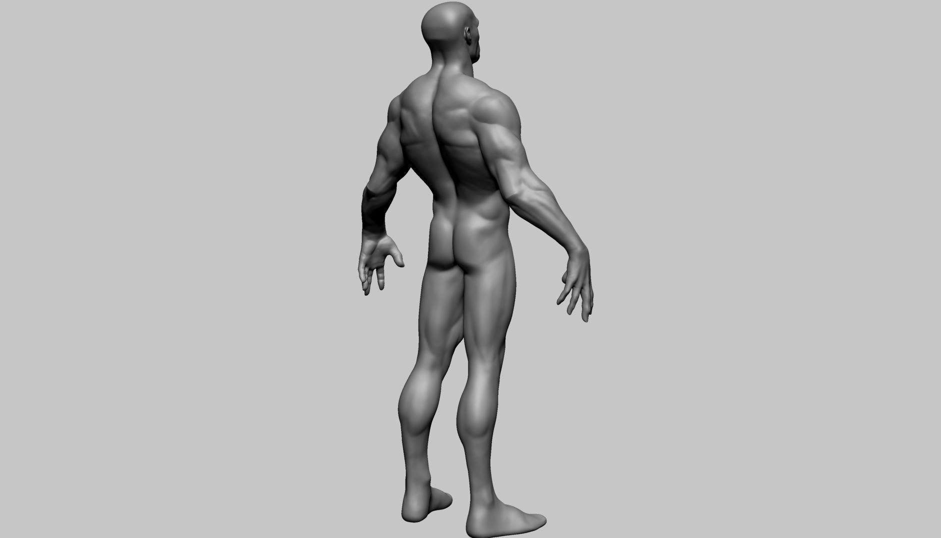 Stylized Male Anatomy A 3D model_5