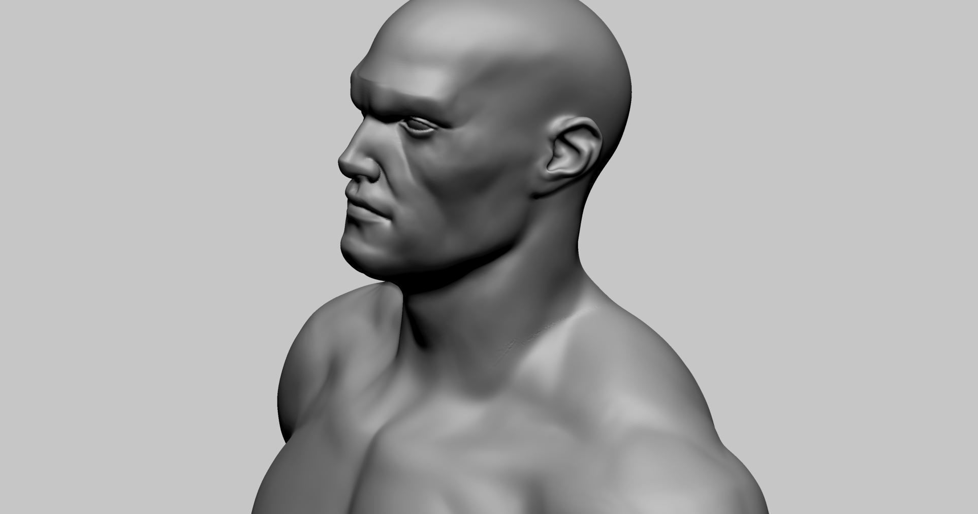 Stylized Male Anatomy A 3D model_12