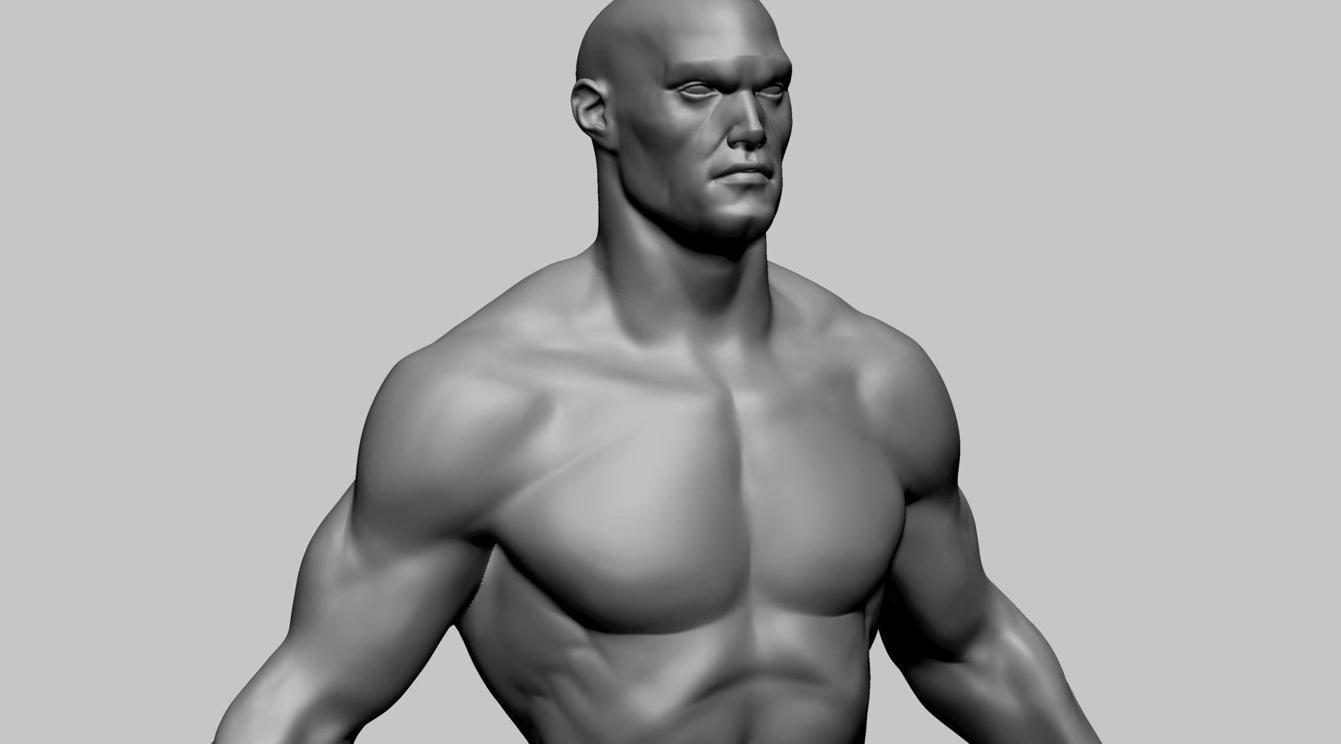 Stylized Male Anatomy A 3D model_11