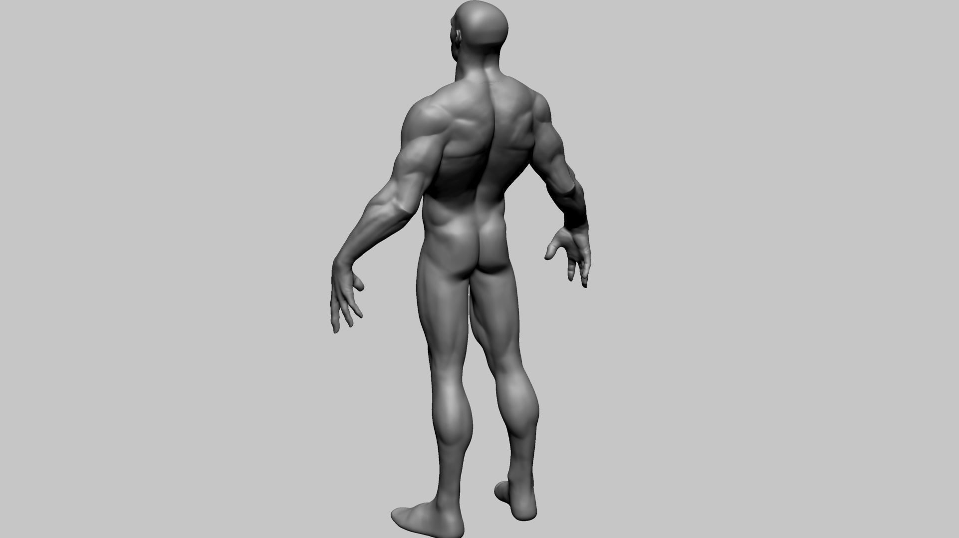 Stylized Male Anatomy A 3D model_7