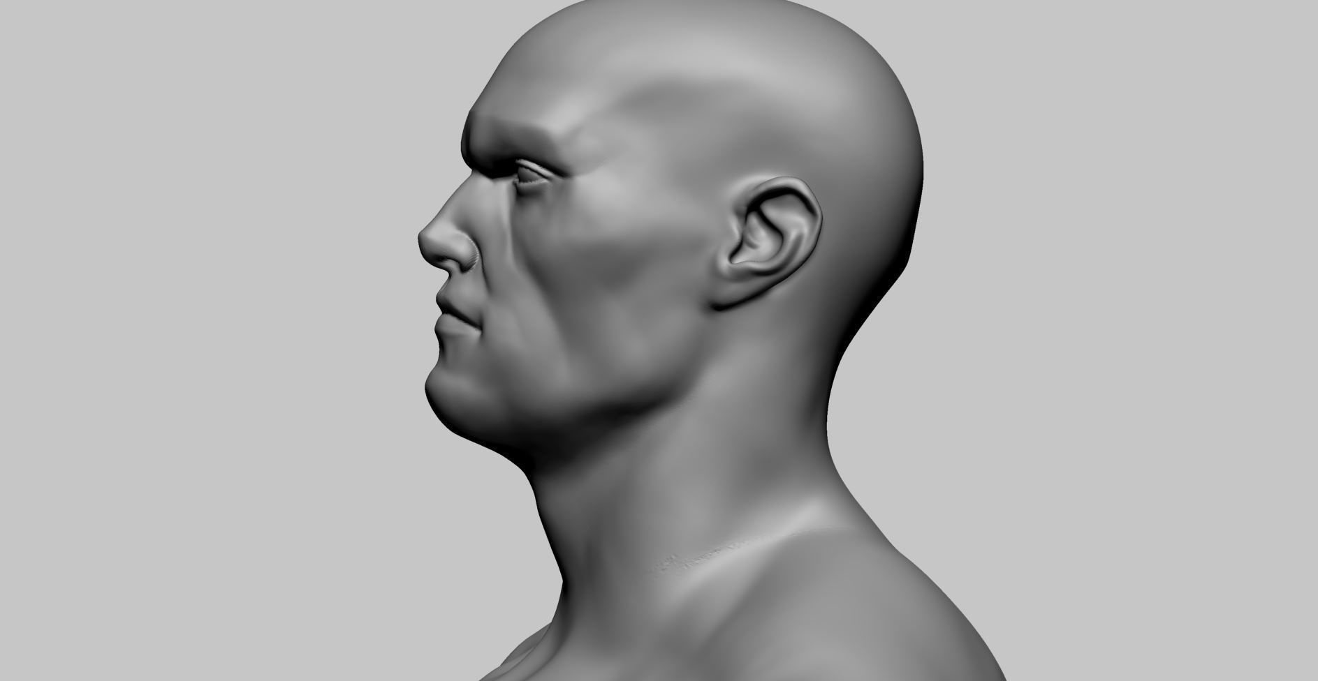 Stylized Male Anatomy A 3D model_13