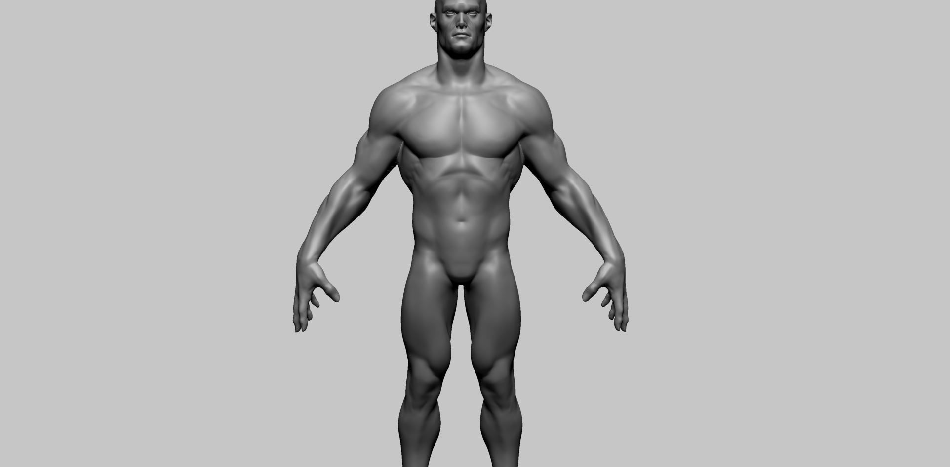 Stylized Male Anatomy A 3D model_9