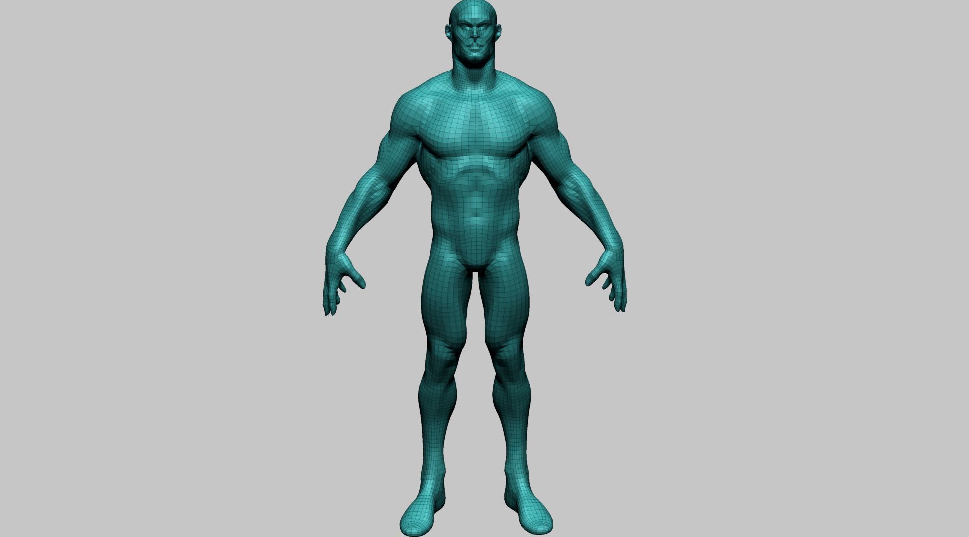 Stylized Male Anatomy A 3D model_17