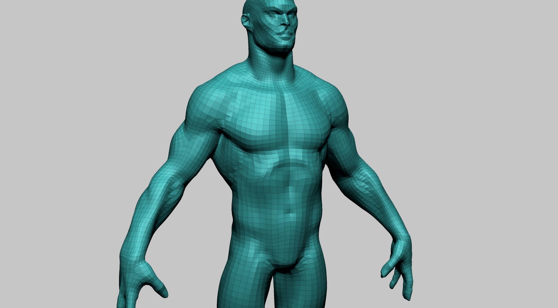 Stylized Male Anatomy A 3D model_16