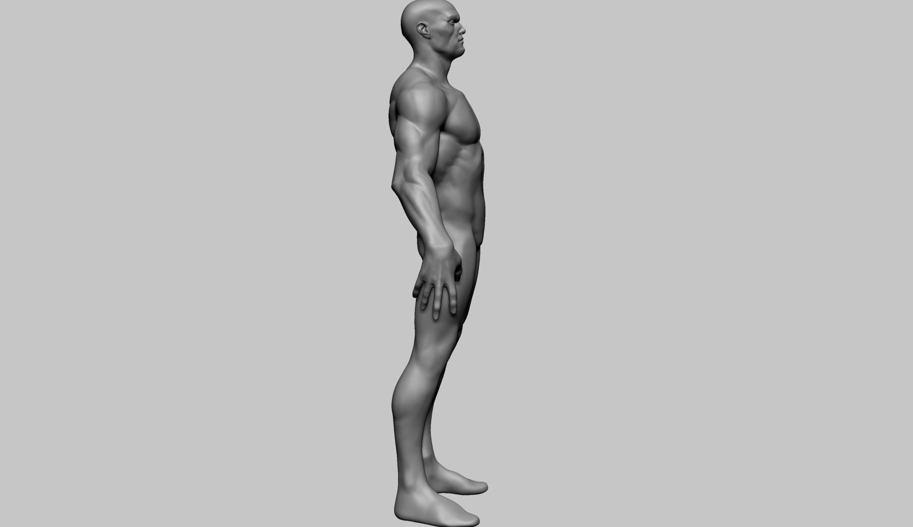 Stylized Male Anatomy A 3D model_4