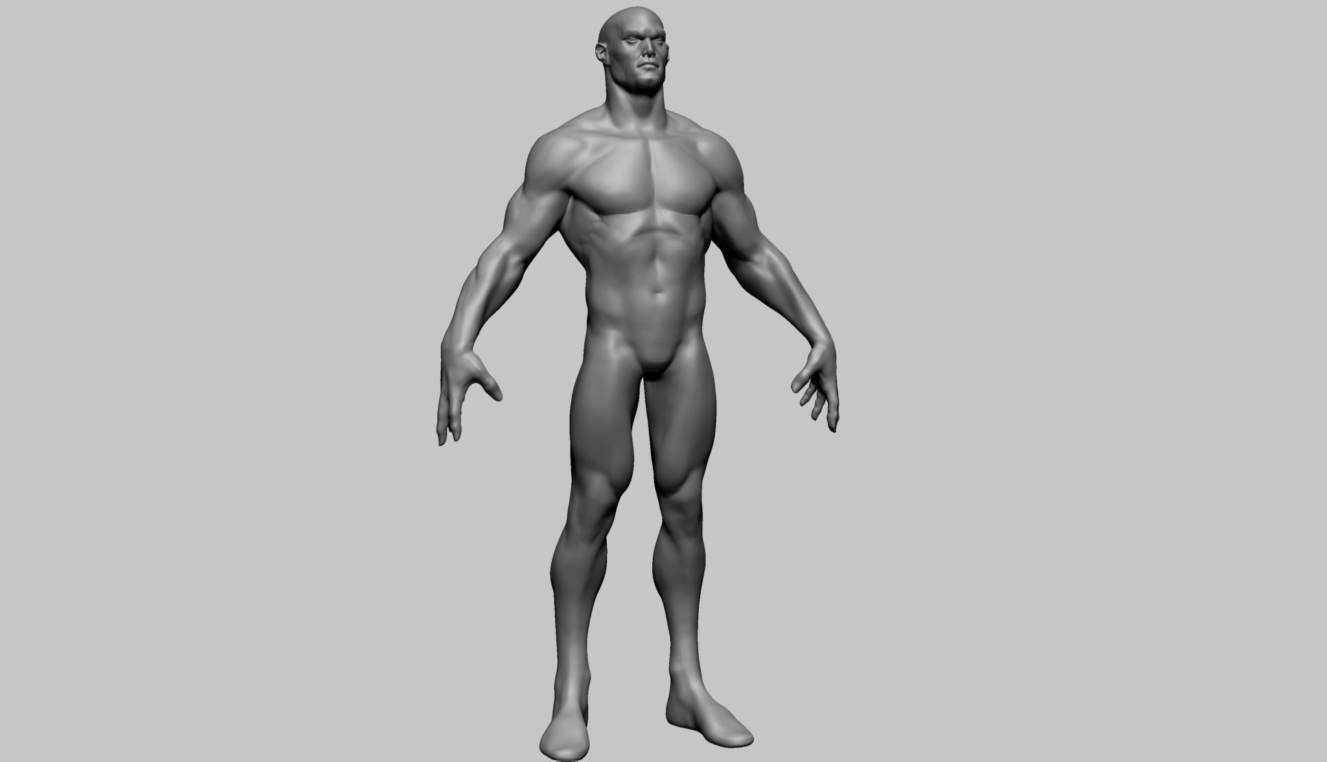 Stylized Male Anatomy A 3D model_1