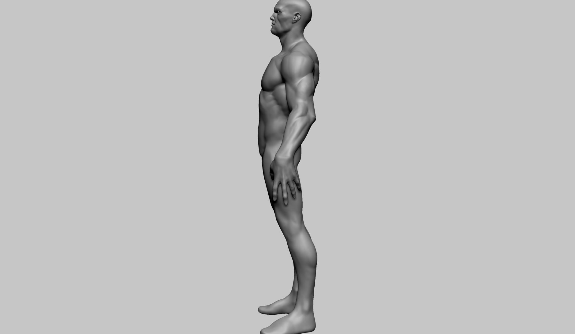 Stylized Male Anatomy A 3D model_8