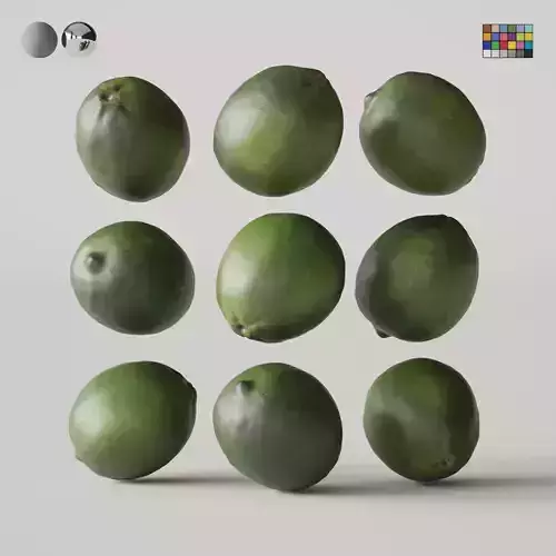 Green Lime 3D model