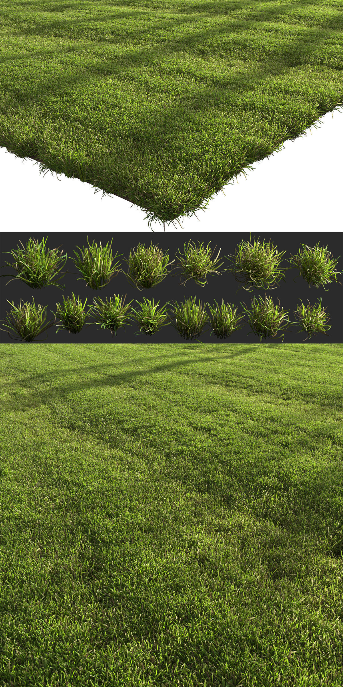 lawn landscape 3D model_3