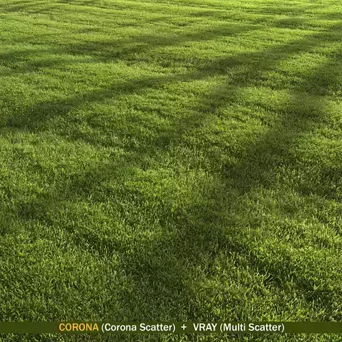 lawn landscape 3D model