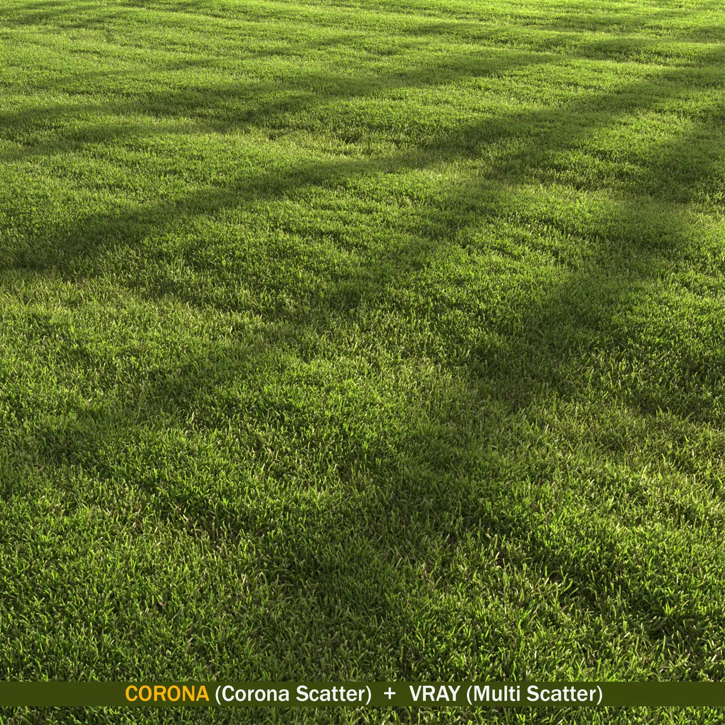 lawn landscape 3D model_0
