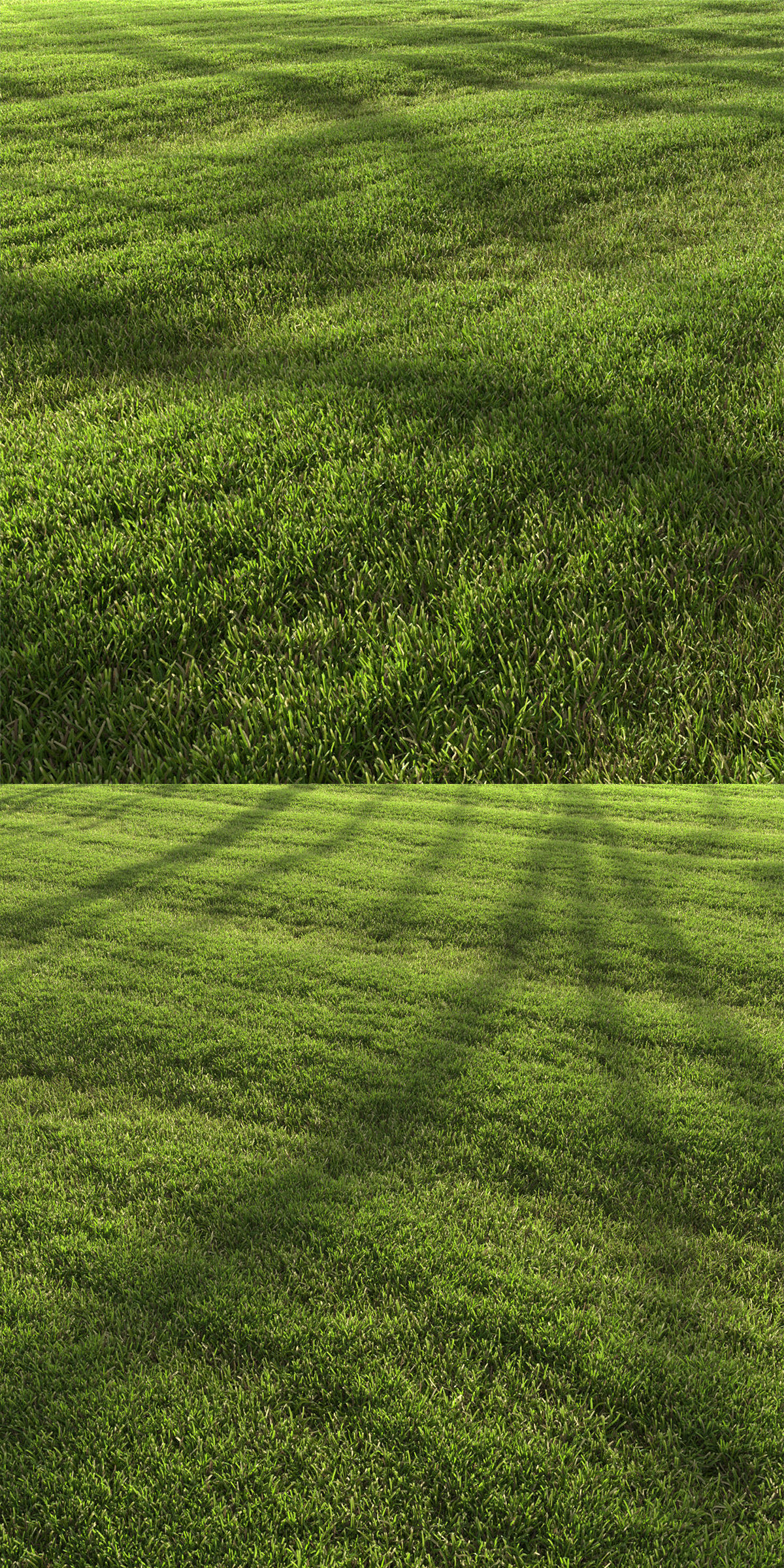 lawn landscape 3D model_4