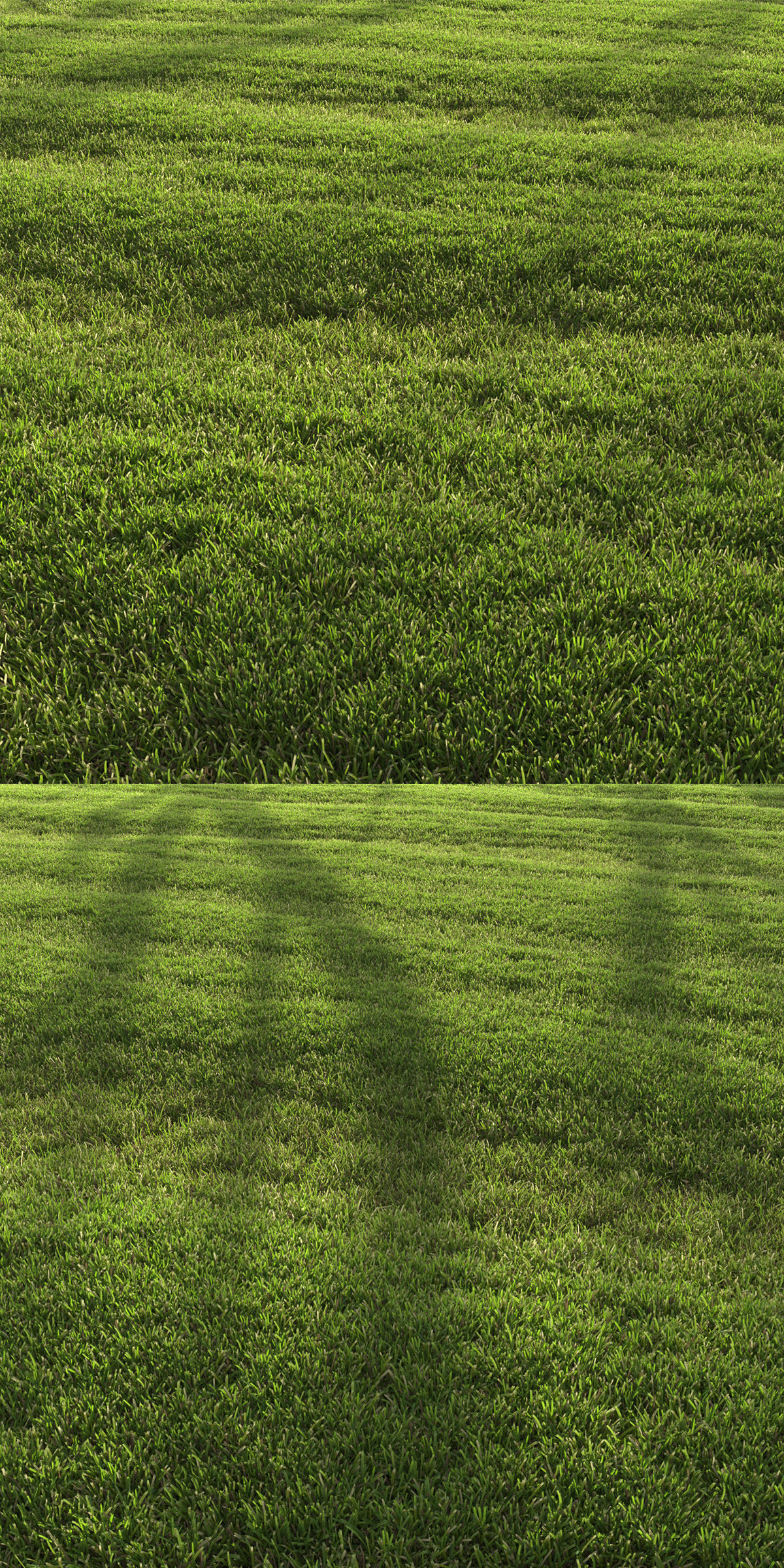 lawn landscape 3D model_5