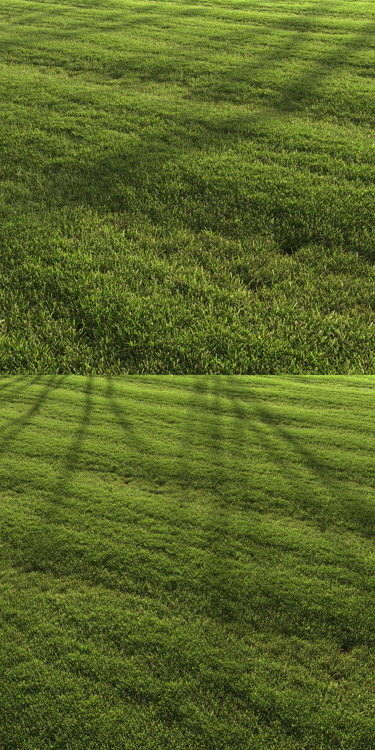 lawn landscape 3D model_2