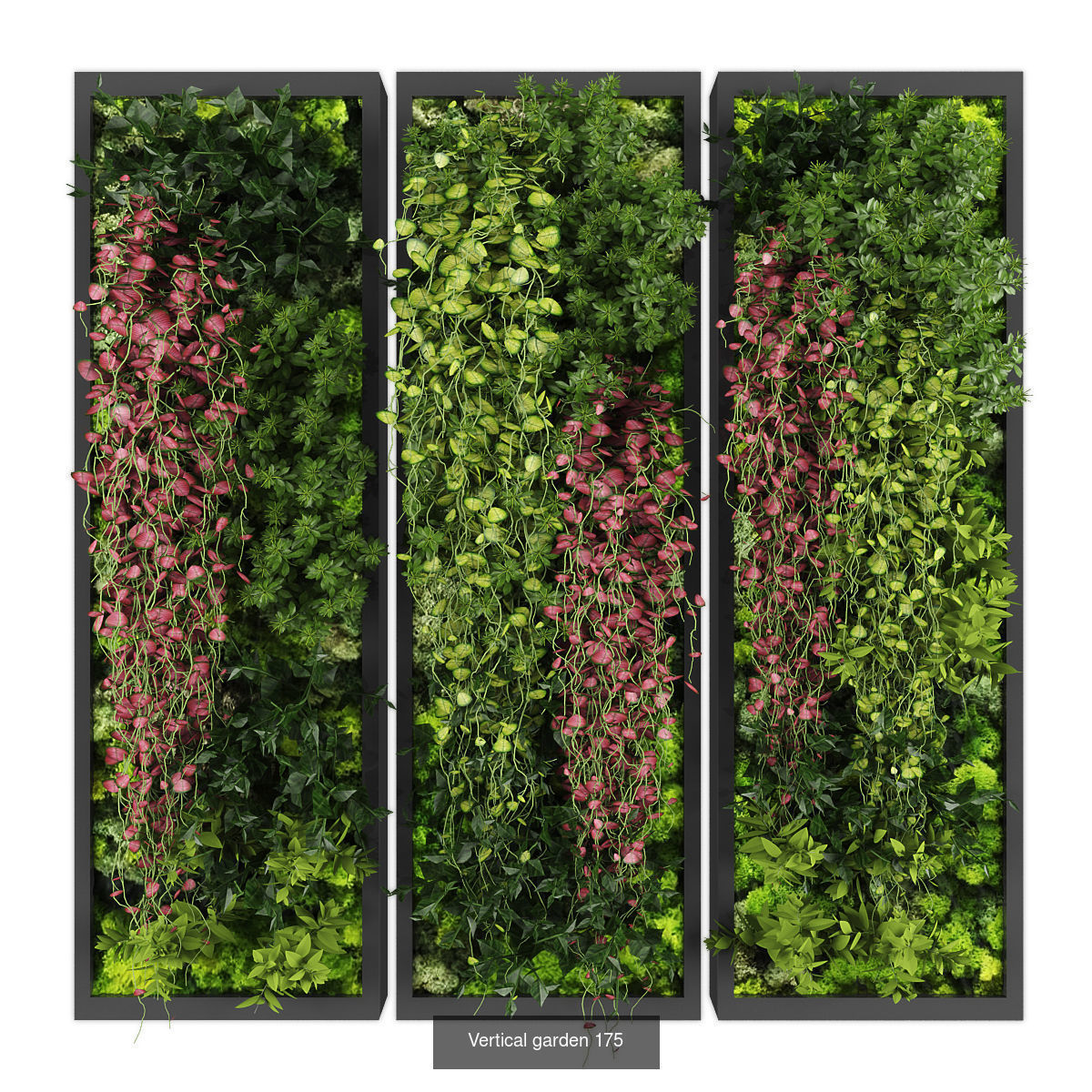 Collection of Vertical garden - 20 _8