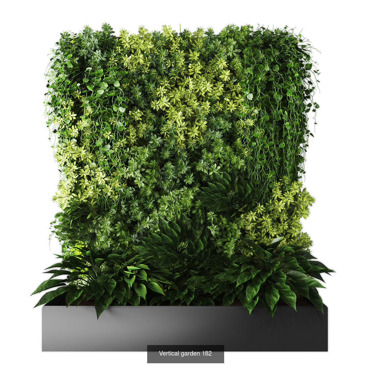 Collection of Vertical garden - 20 _13