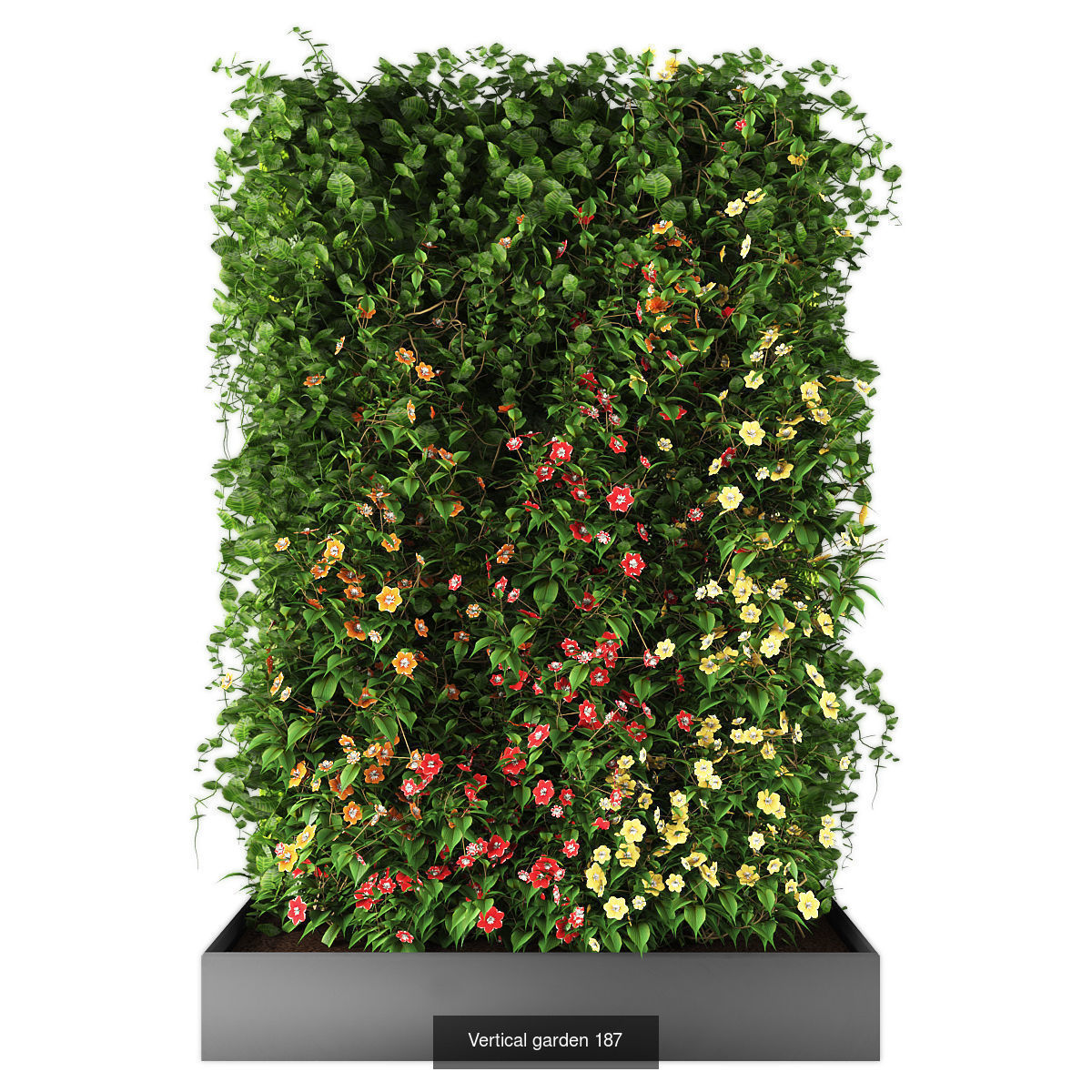 Collection of Vertical garden - 20 _16