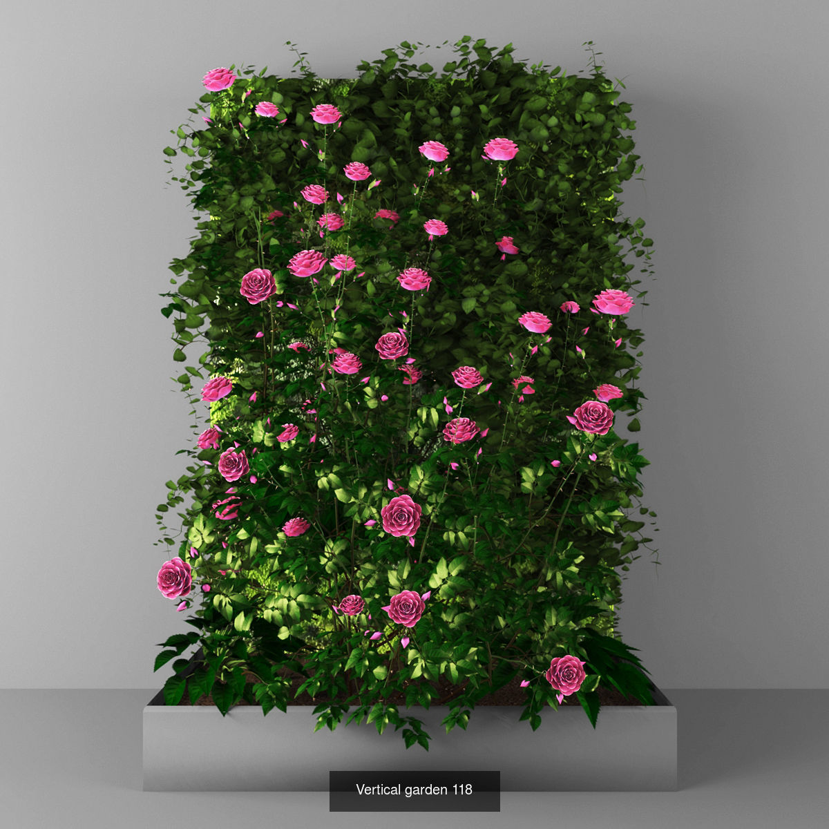 Collection of Vertical garden - 20 _4