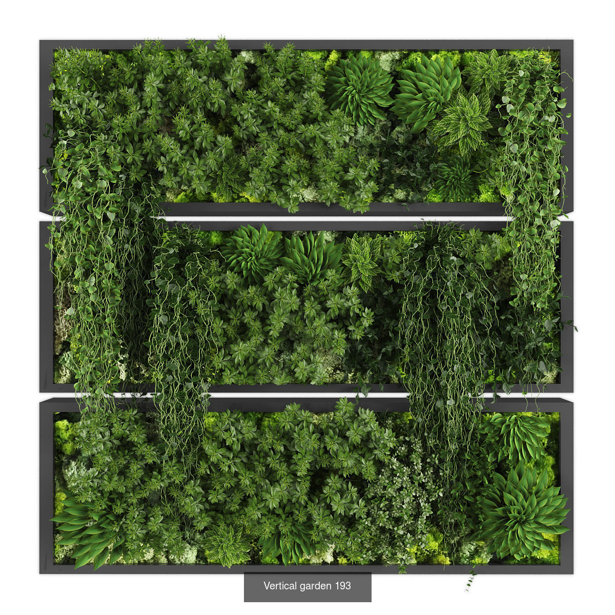 Collection of Vertical garden - 20 _21