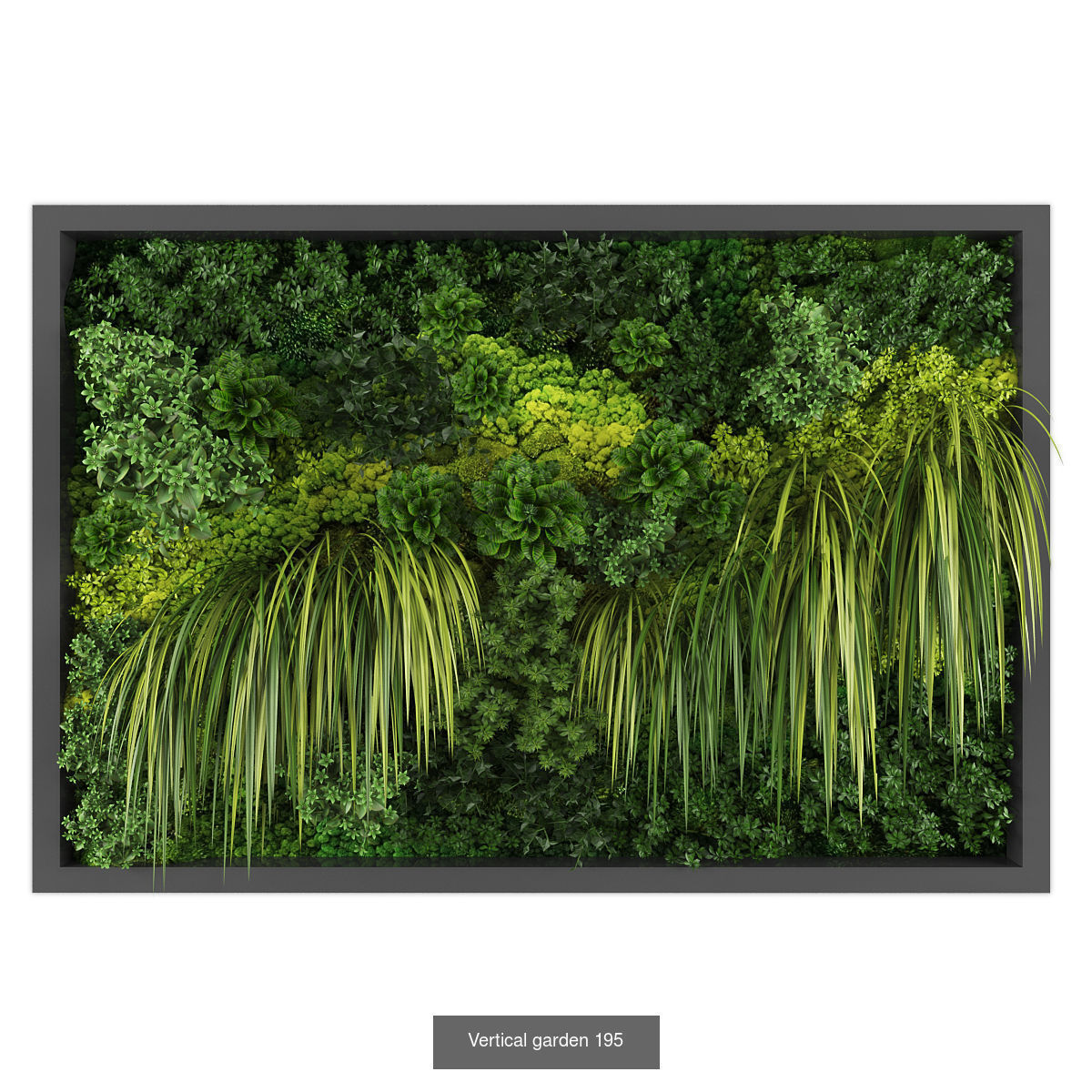 Collection of Vertical garden - 20 _23