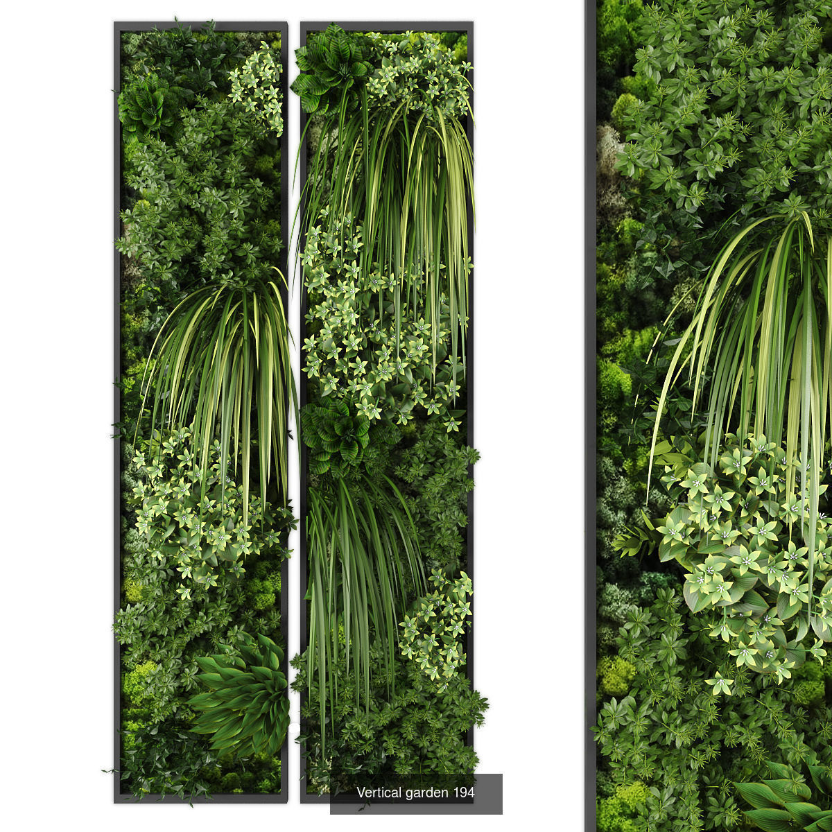Collection of Vertical garden - 20 _22