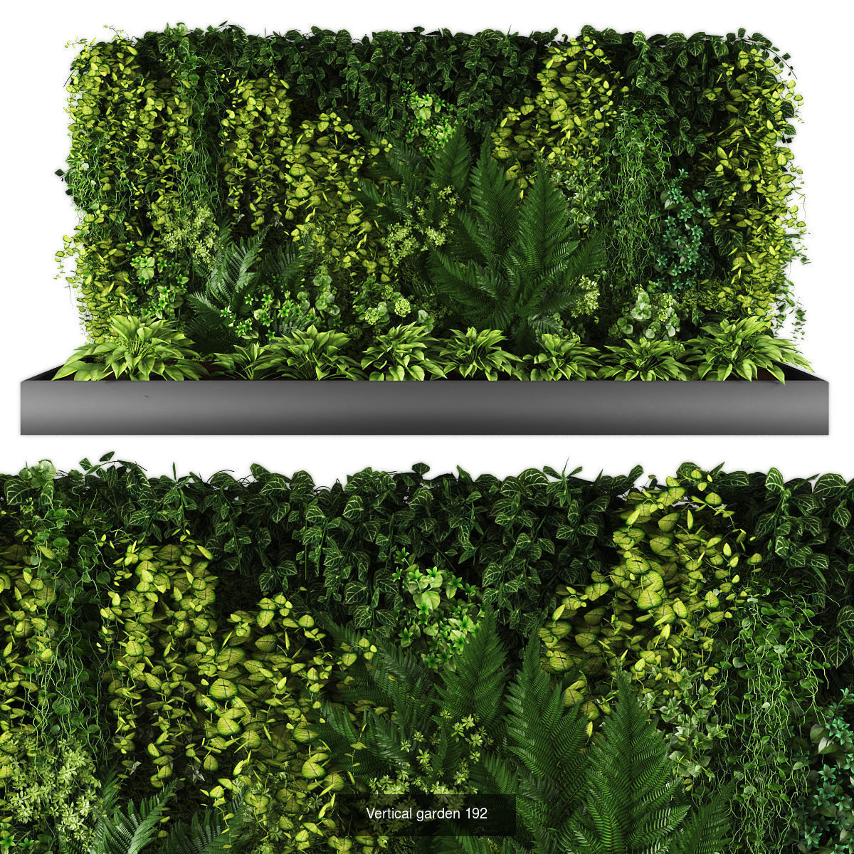 Collection of Vertical garden - 20 _20