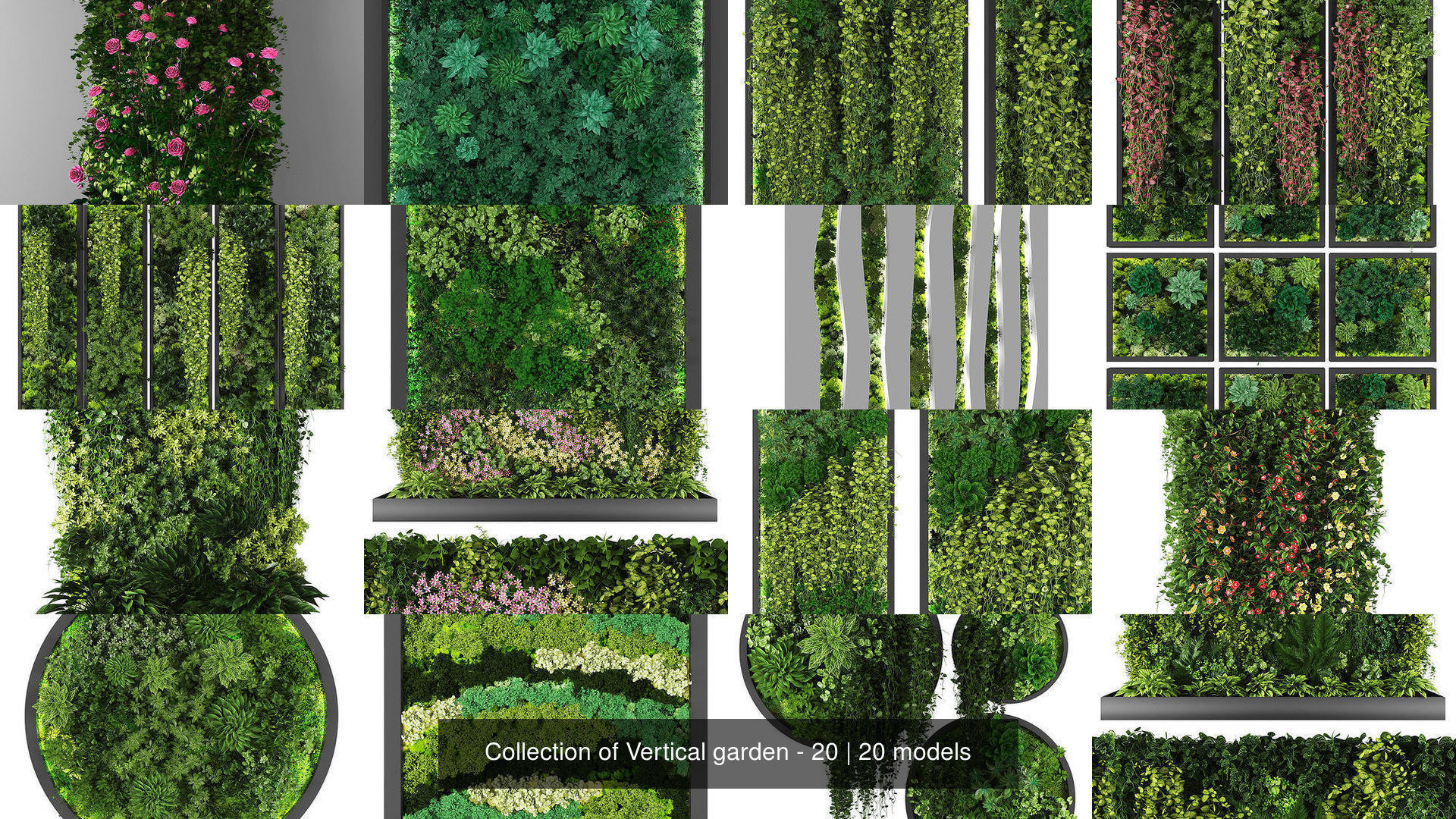Collection of Vertical garden - 20 _1