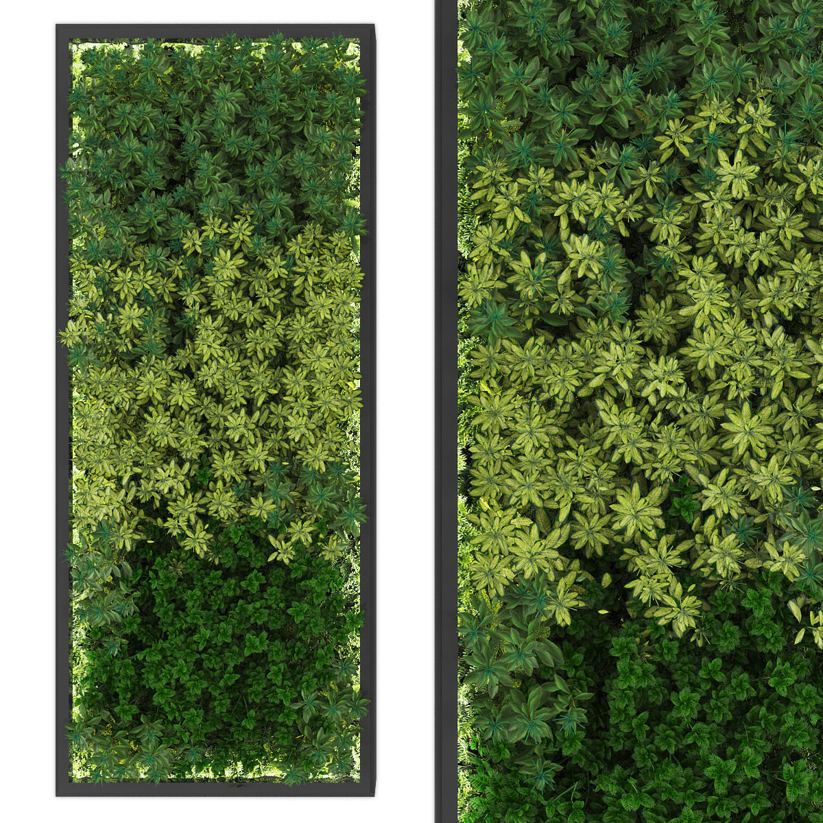 Collection of Vertical garden - 20 _24