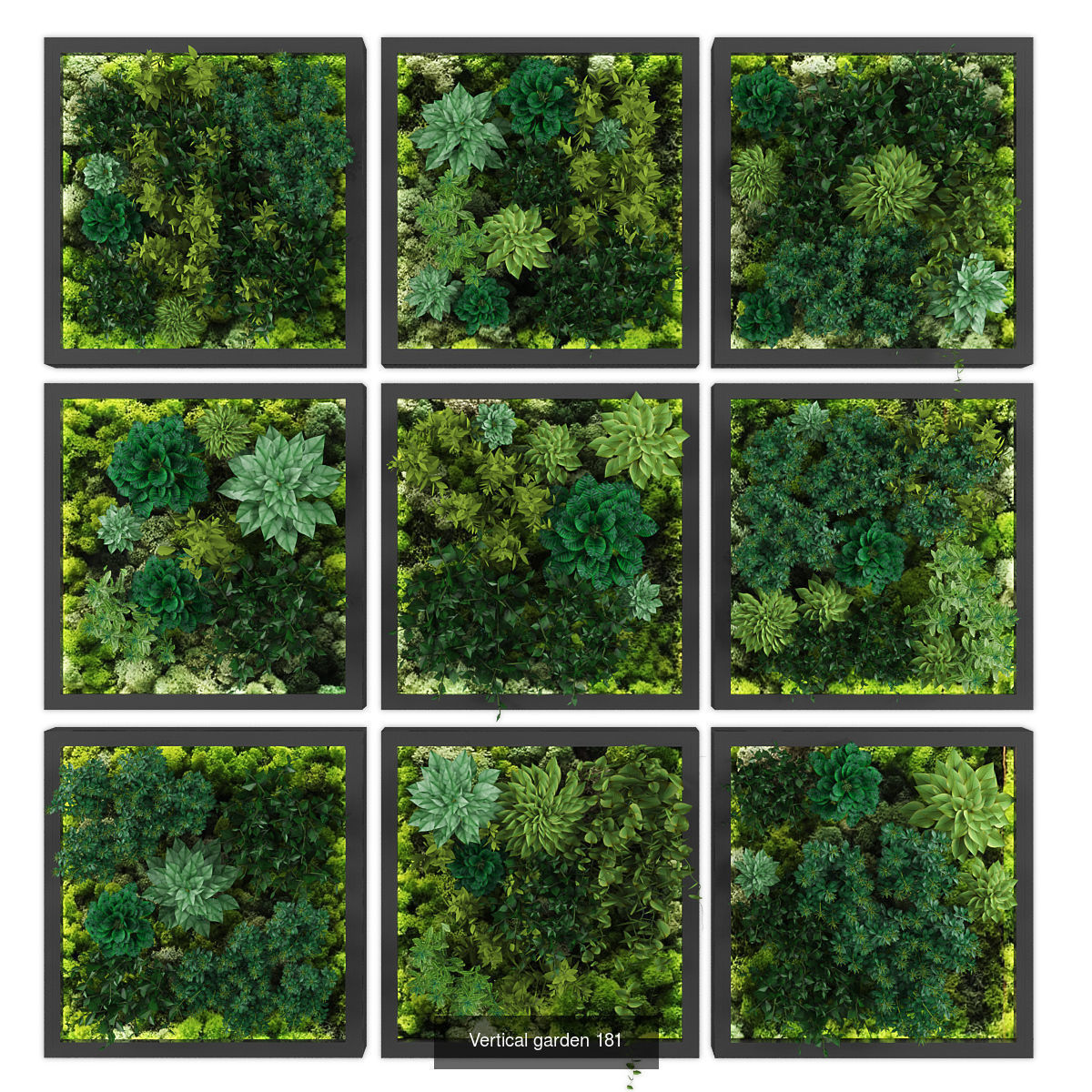 Collection of Vertical garden - 20 _12