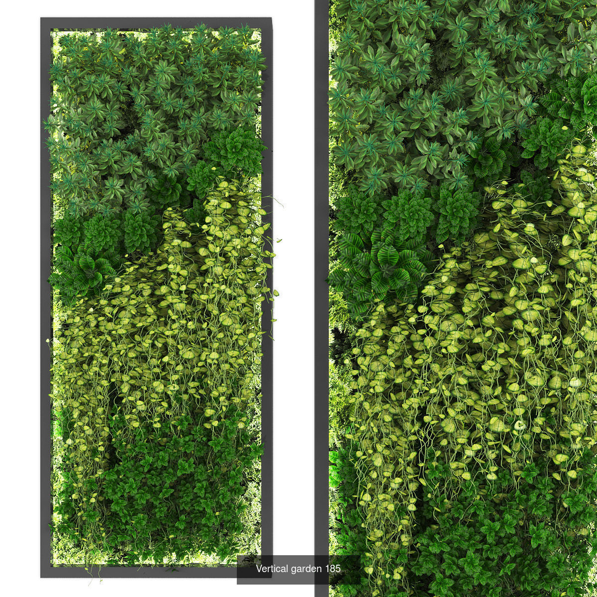 Collection of Vertical garden - 20 _15