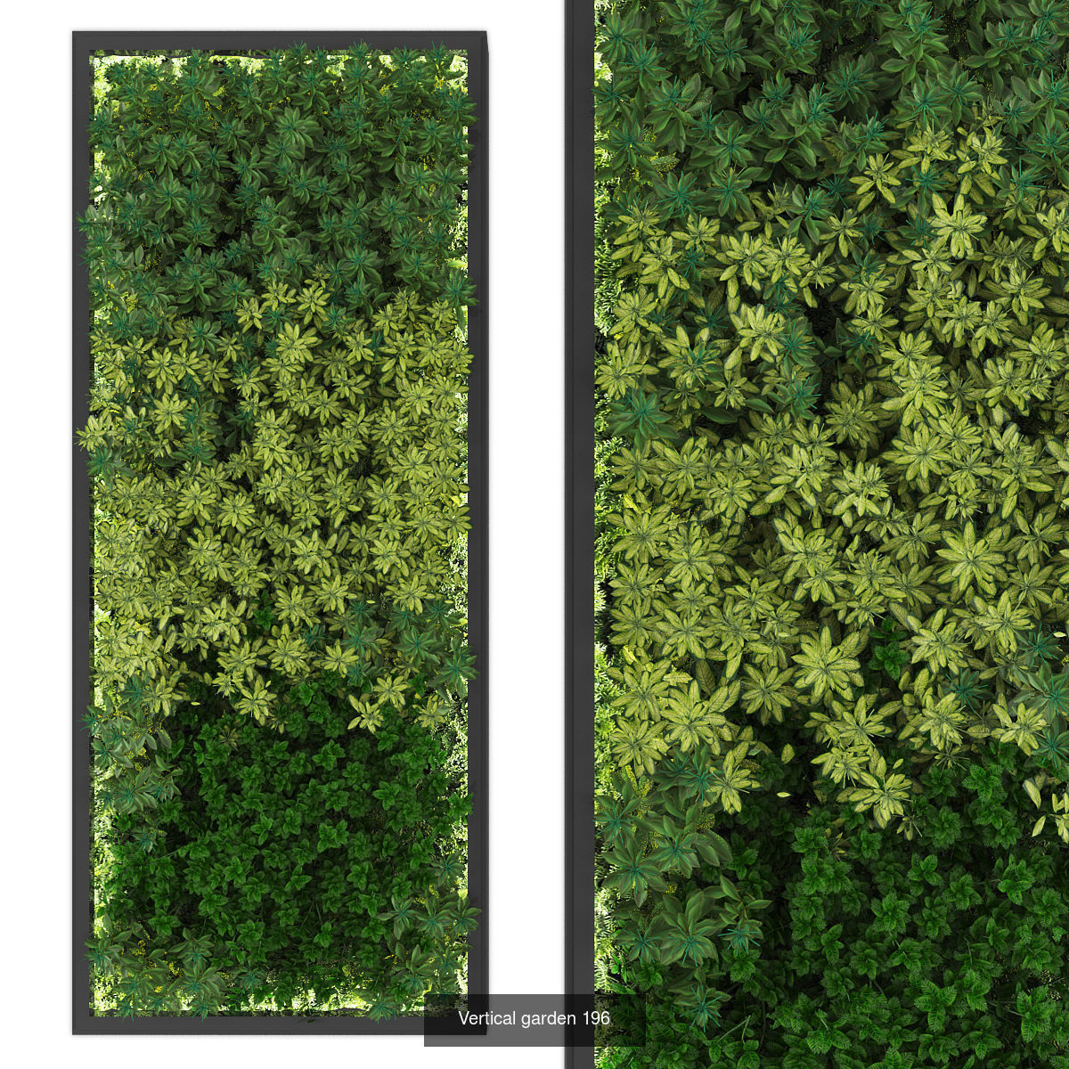 Collection of Vertical garden - 20 _25