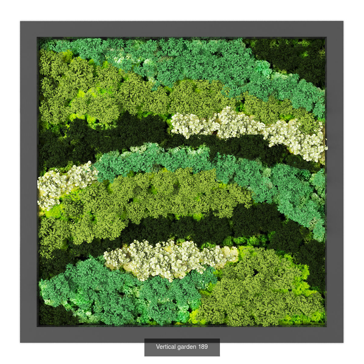 Collection of Vertical garden - 20 _18