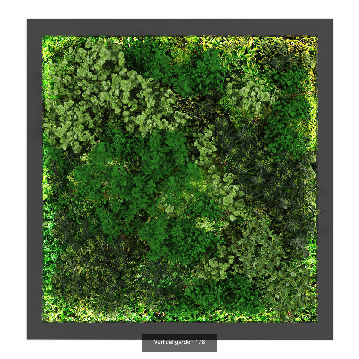 Collection of Vertical garden - 20 _10