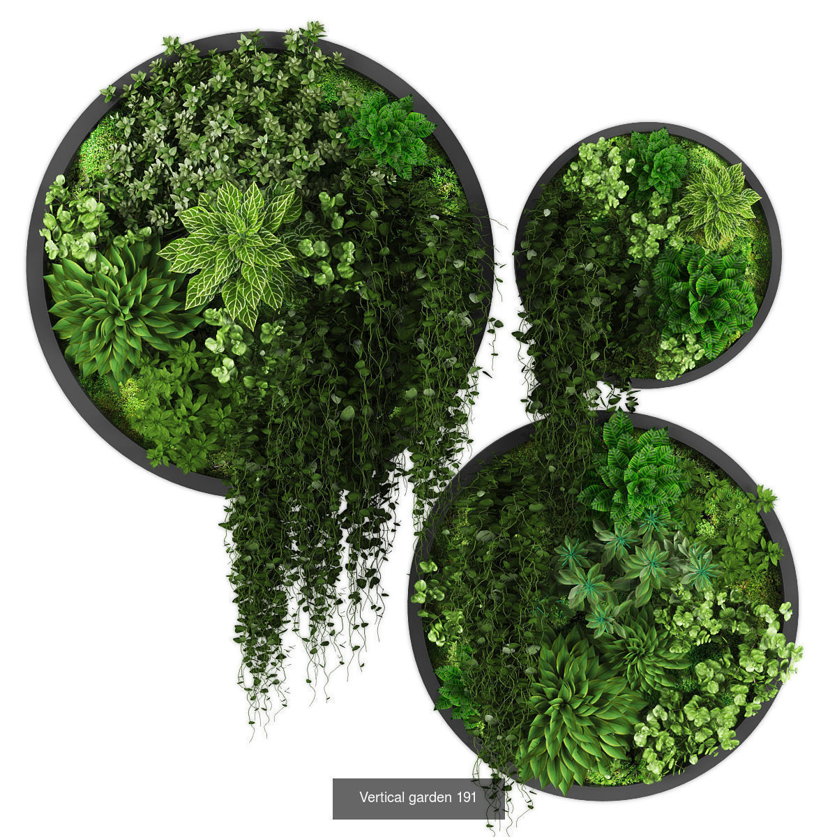 Collection of Vertical garden - 20 _19