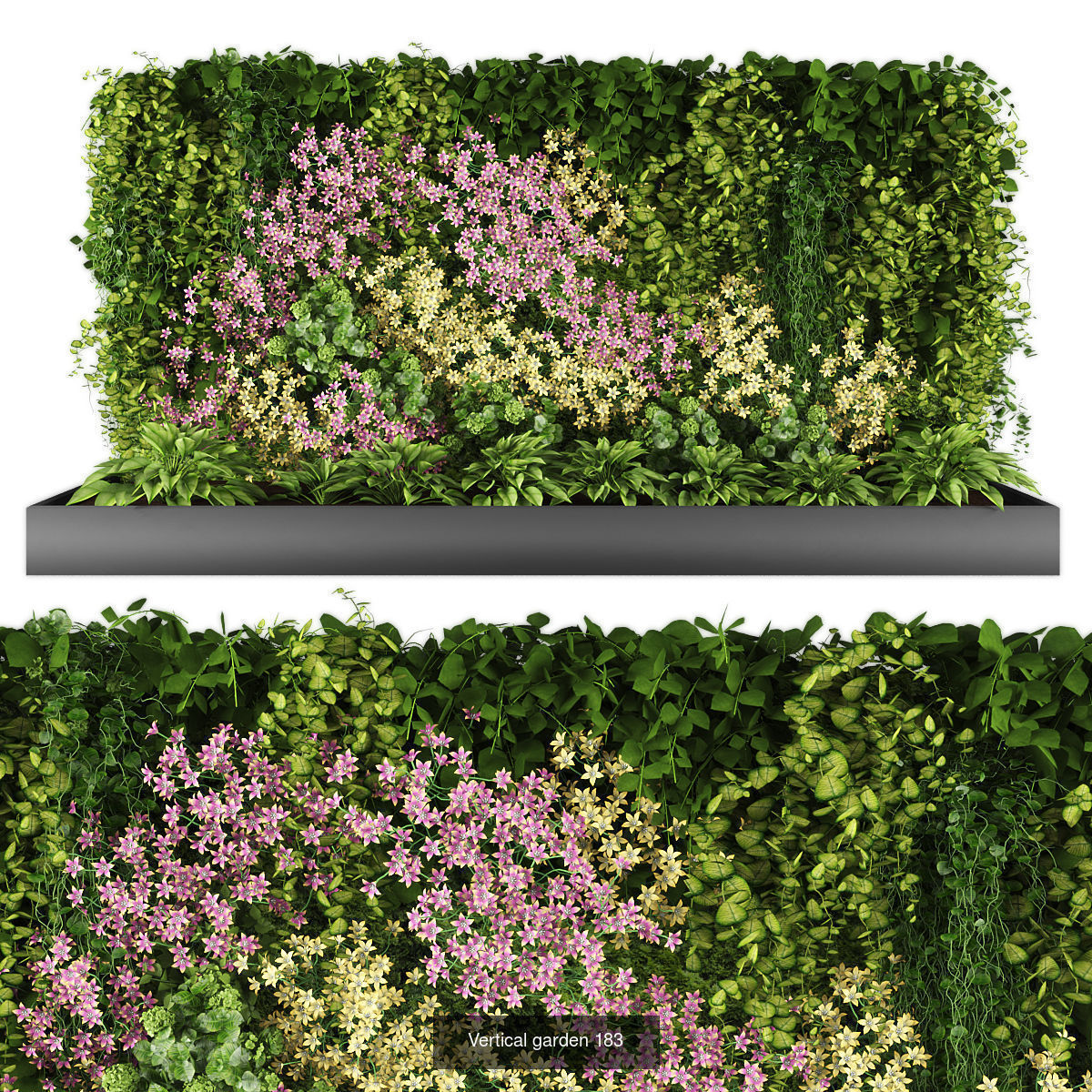 Collection of Vertical garden - 20 _14