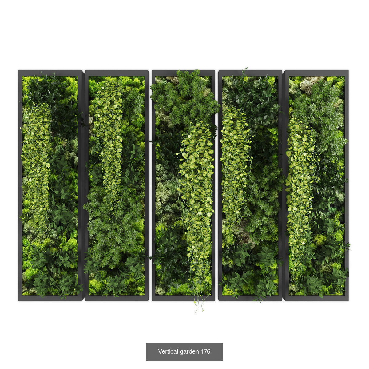 Collection of Vertical garden - 20 _9