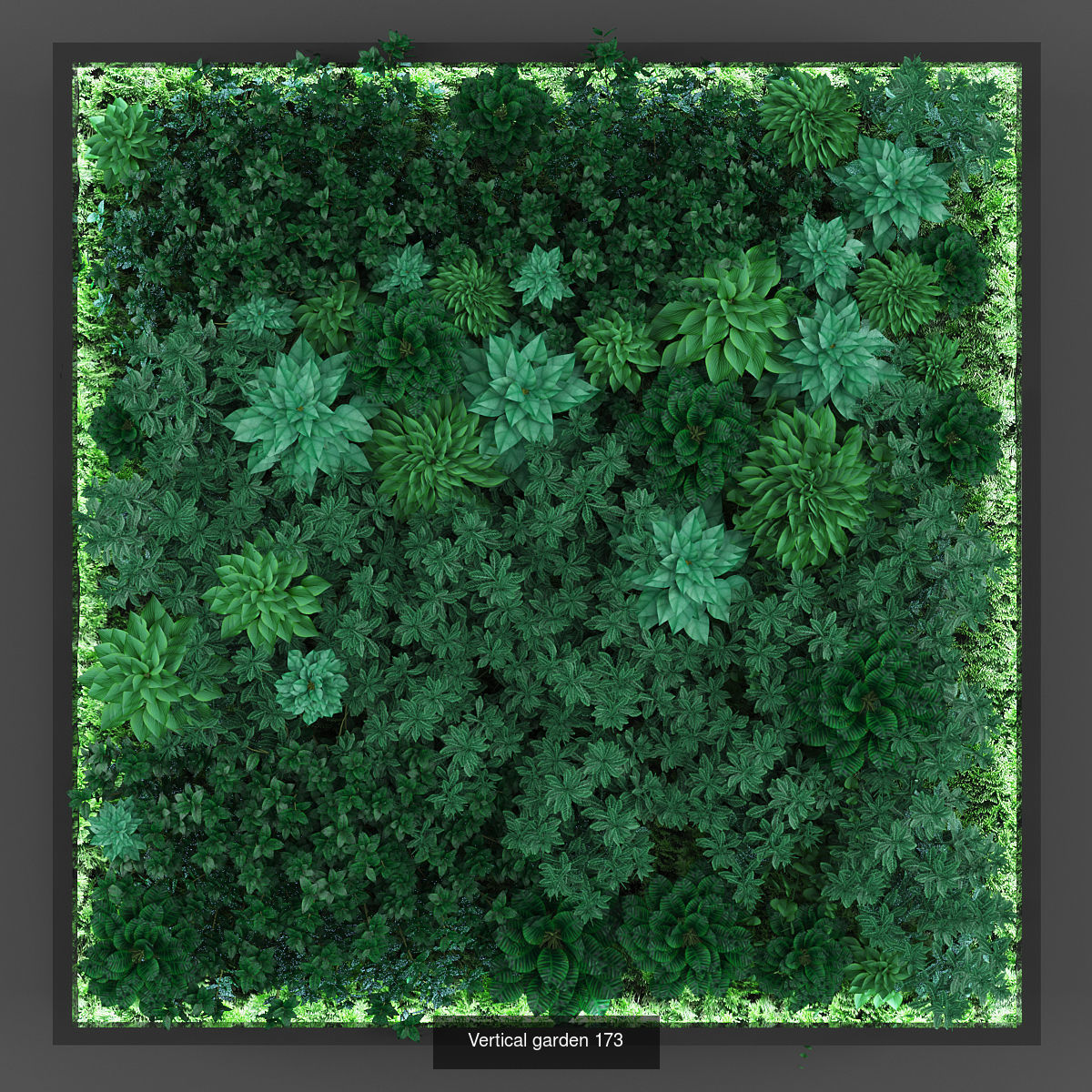 Collection of Vertical garden - 20 _6