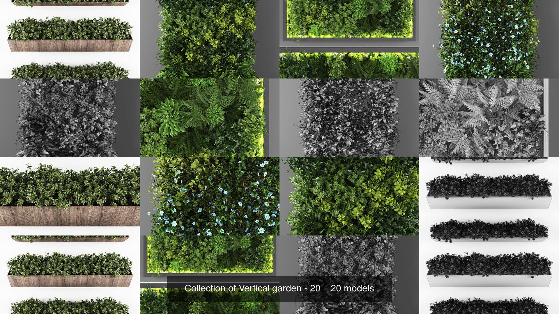 Collection of Vertical garden - 20  _3