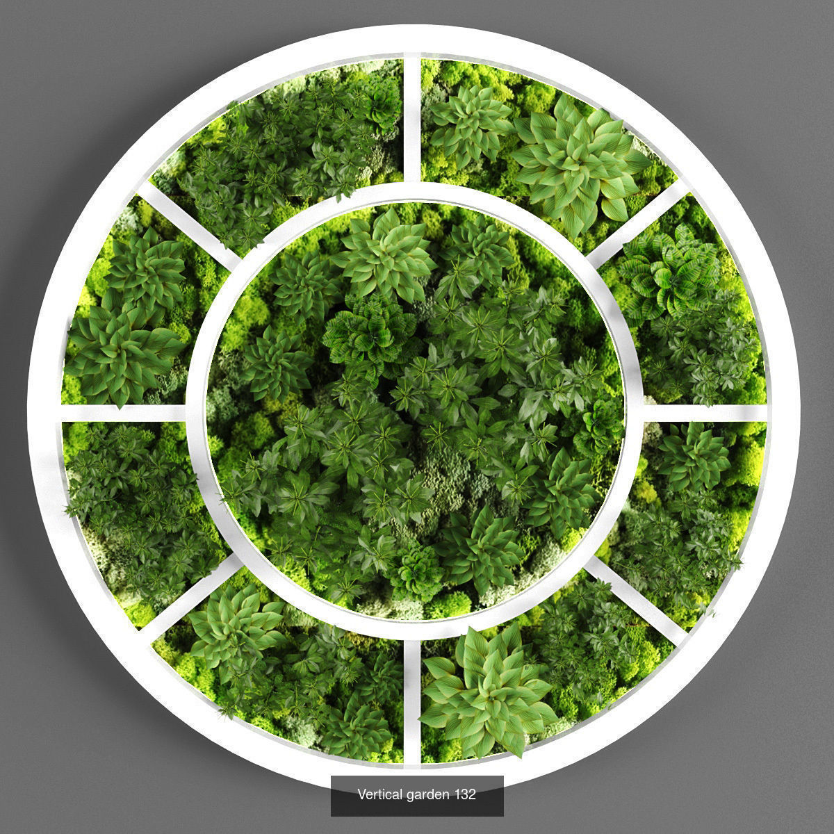 Collection of Vertical garden - 20  _18