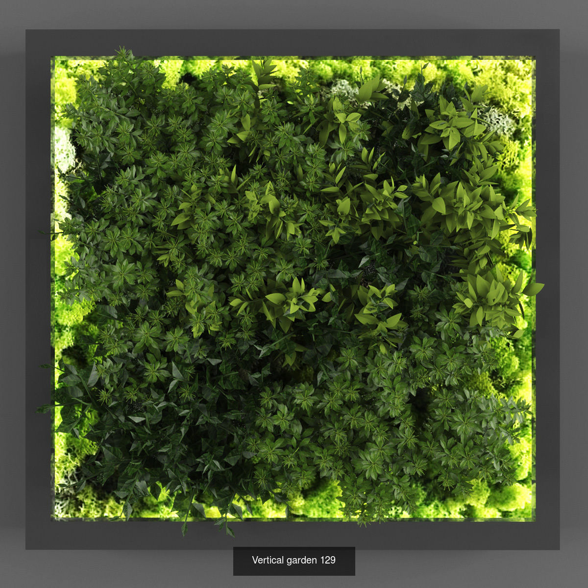 Collection of Vertical garden - 20  _15